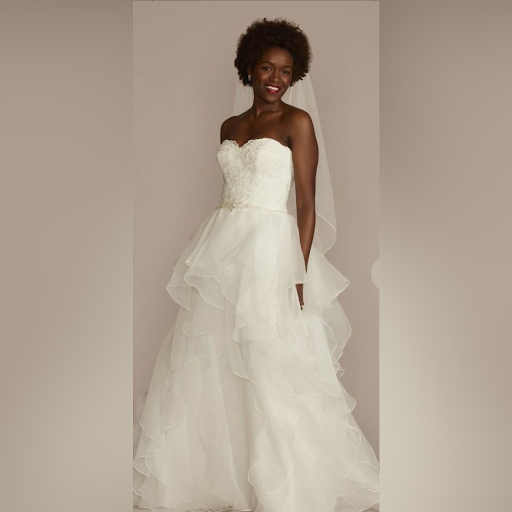 David’s Bridal Lace & Organza Petite Wedding Ball Gown
